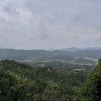 評論圖片 4
