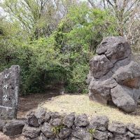 評論圖片 1