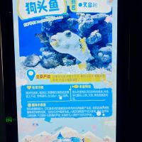 評論圖片 5