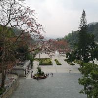 評論圖片 4