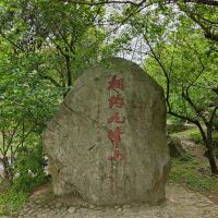 評論圖片 1