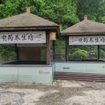 評論圖片 6