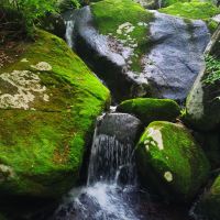 評論圖片 7