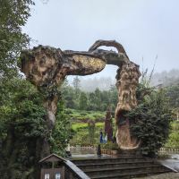 評論圖片 4