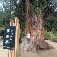 評論圖片 2