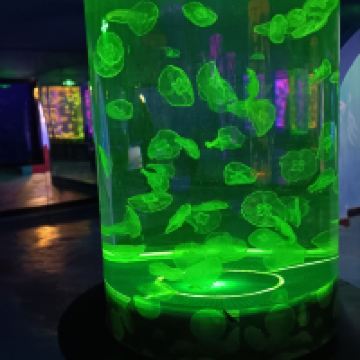 評論圖片 2