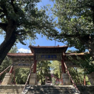 評論圖片 4