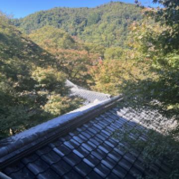 評論圖片 5