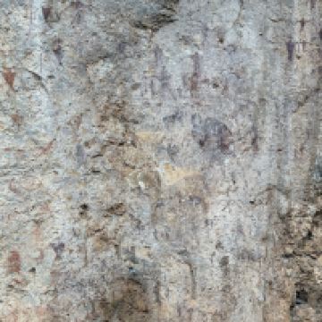 評論圖片 4