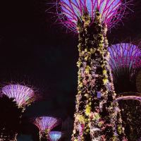 評論圖片 1