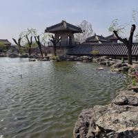評論圖片 6