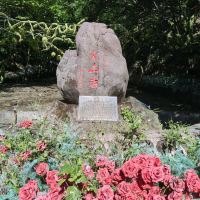 評論圖片 4
