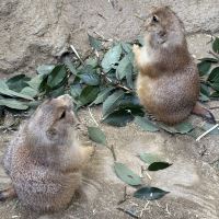 評論圖片 6