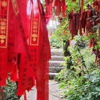 評論圖片 5