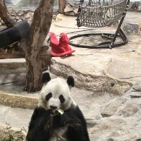 評論圖片 1