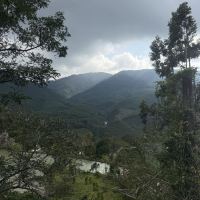 評論圖片 5