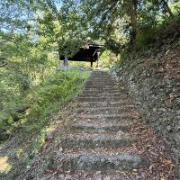評論圖片 6