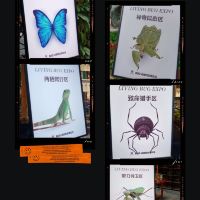評論圖片 1