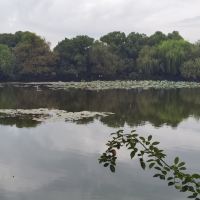 評論圖片 9