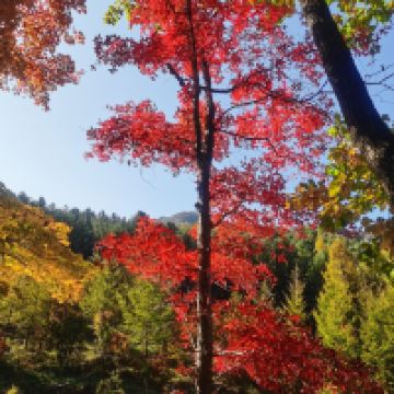 評論圖片 4