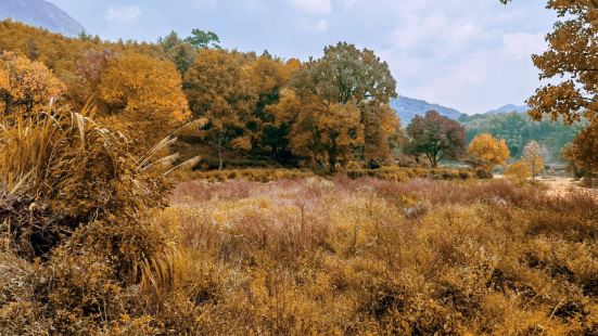 秋天的塔川景色真是如同漫画里的场景，浪漫至极，漫山遍野的红黄