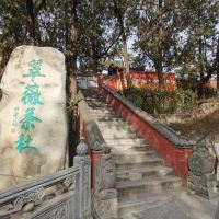 評論圖片 5