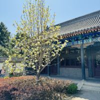 評論圖片 3