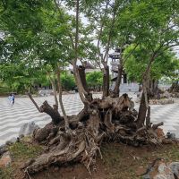 評論圖片 6