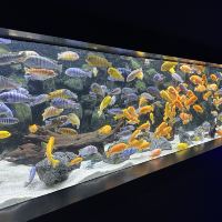 評論圖片 3