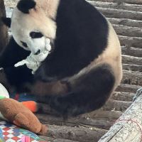 評論圖片 1