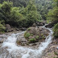 評論圖片 8