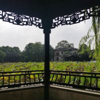 評論圖片 8
