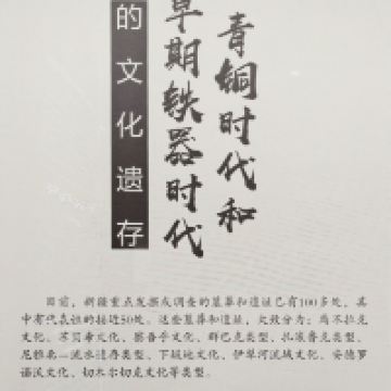 評論圖片 4