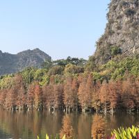 評論圖片 4