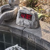 評論圖片 1