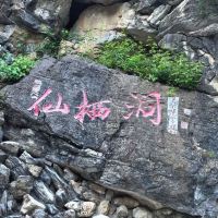 評論圖片 4