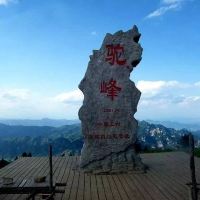 評論圖片 3