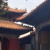 評論圖片 5