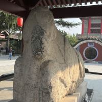 評論圖片 4