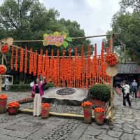 評論圖片 6