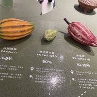 評論圖片 1
