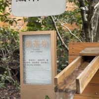 評論圖片 1