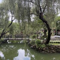 評論圖片 2