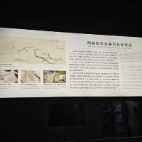評論圖片 7
