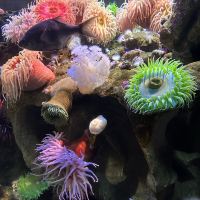評論圖片 1