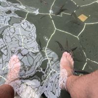 評論圖片 1