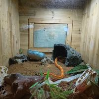 評論圖片 5