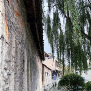 評論圖片 5