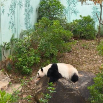 評論圖片 3