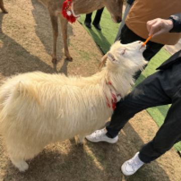 評論圖片 9